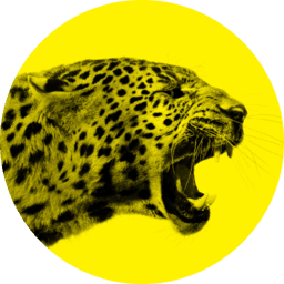 Locarno Film Festival